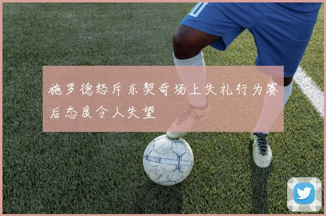 施罗德怒斥东契奇场上失礼行为赛后态度令人失望
