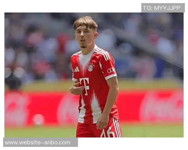 德转消息:汉诺威小将阿塞科引多队关注拜仁可250万欧回购 德转消息:汉诺威小将阿塞科引多队关注拜仁可250万欧回购