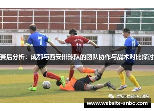 赛后分析：成都与西安排球队的团队协作与战术对比探讨